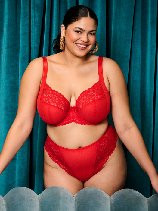 Бюстгальтер c мягкой чашкой Elomi Tiernie Stretch Plunge (Red)