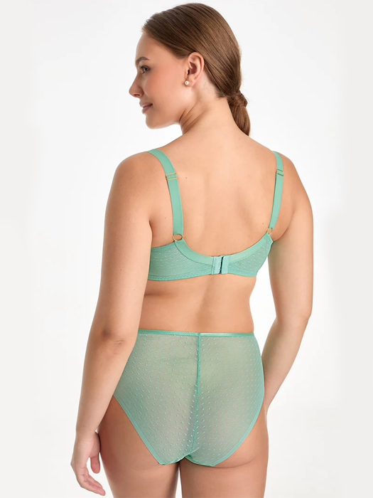 Трусы высокие Ewa Bien Sovana C125 (Green)