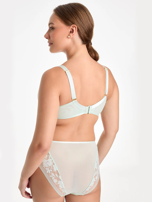 Трусы высокие Ewa Bien Orlando C125 (Mint) 