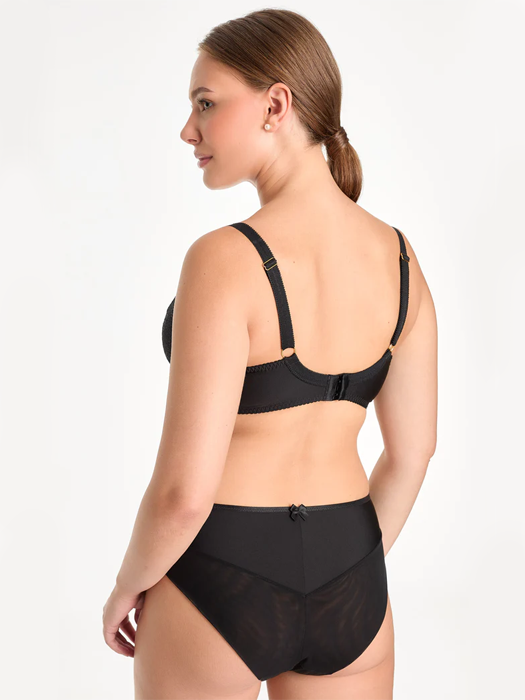 Трусы слипы Ewa Bien Rina C110 (Black)