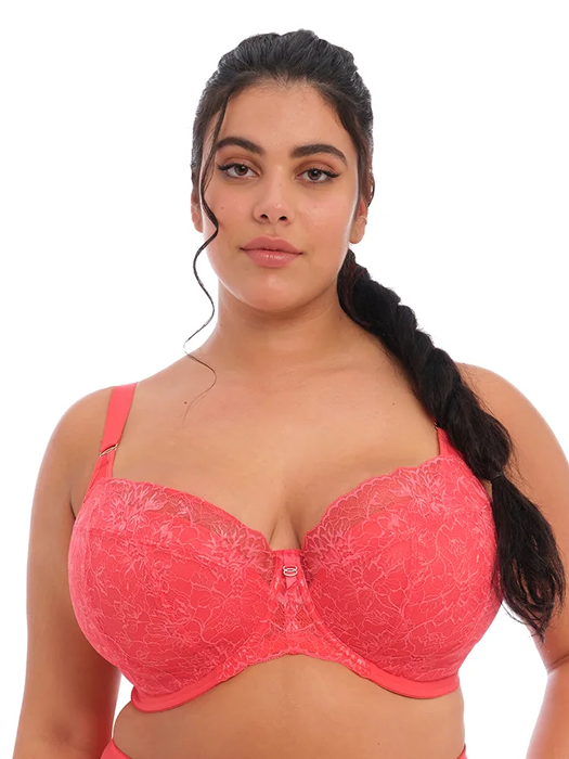 Бюстгальтер полумягкий Elomi Brianna Padded Half Cup (Cayenne)