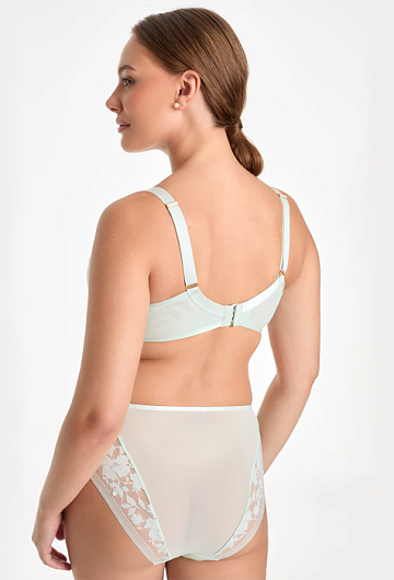 Трусы высокие Ewa Bien Orlando C125 (Mint) 